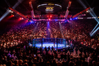 UFC Fight Night Belgrade • Lower Section Ticket Block 209